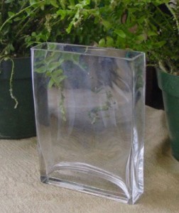 8 Tall Thin Rectangle Glass Vase